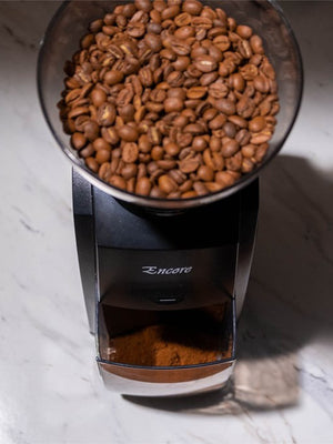 BARATZA Encore™ Coffee Grinder (120V)